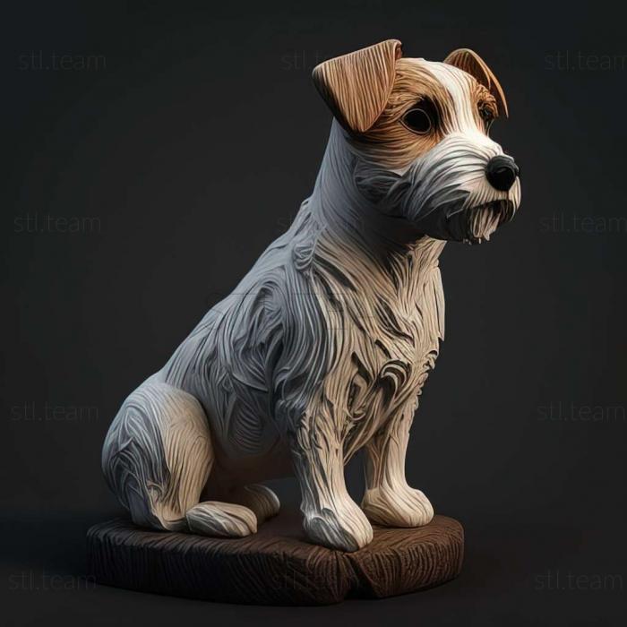 Animals Parson Russell Terrier dog